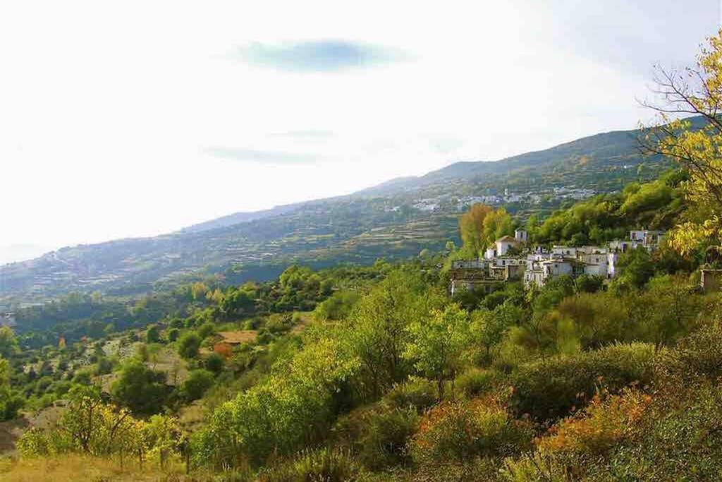 Вілла Casa Carmela, Rural House With Spectacular Views, In An Exquisite Area Atalbeitar Екстер'єр фото