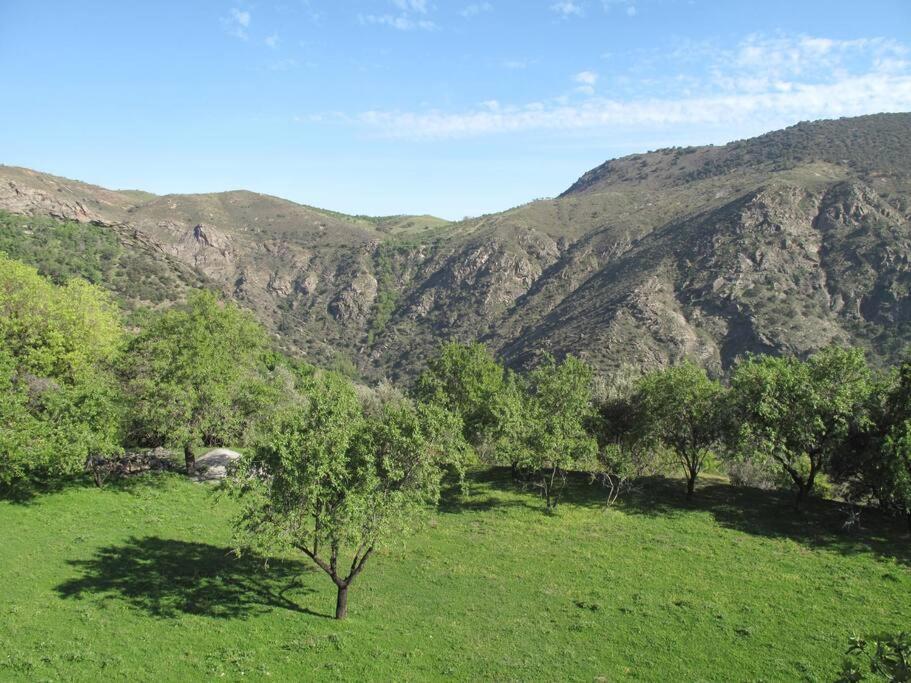 Вілла Casa Carmela, Rural House With Spectacular Views, In An Exquisite Area Atalbeitar Екстер'єр фото