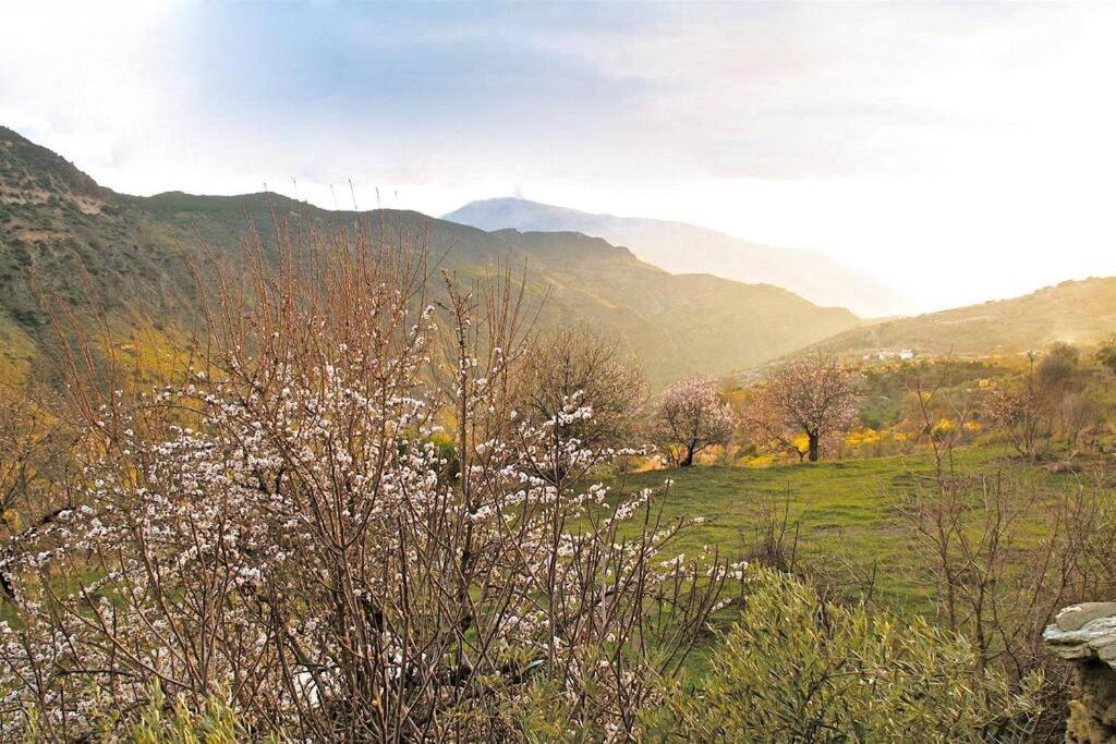 Вілла Casa Carmela, Rural House With Spectacular Views, In An Exquisite Area Atalbeitar Екстер'єр фото