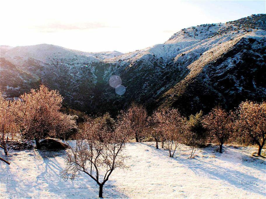 Вілла Casa Carmela, Rural House With Spectacular Views, In An Exquisite Area Atalbeitar Екстер'єр фото