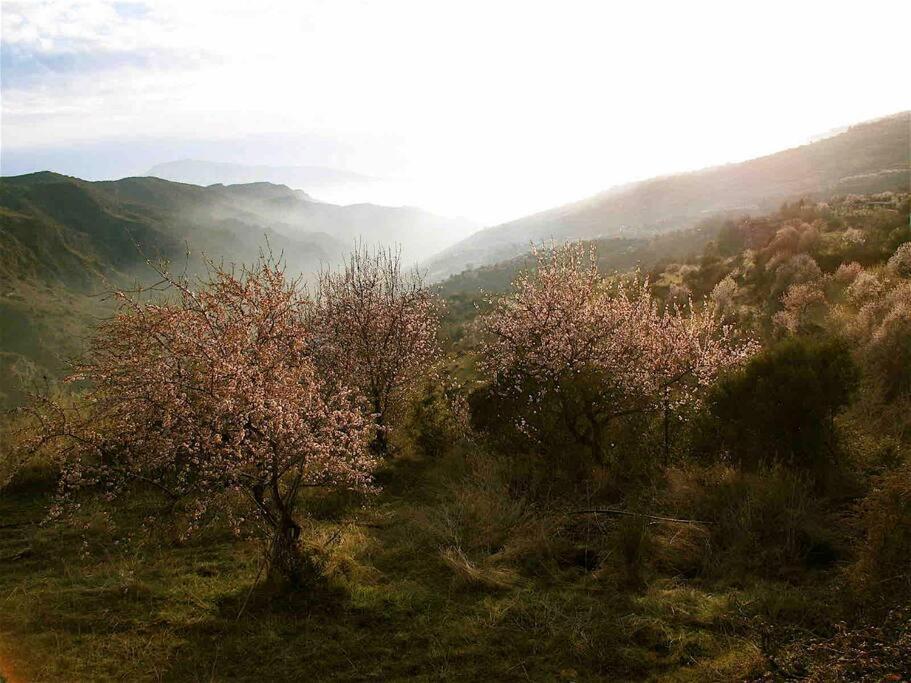 Вілла Casa Carmela, Rural House With Spectacular Views, In An Exquisite Area Atalbeitar Екстер'єр фото